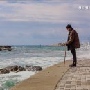 상락정배산실버빌 | 상락정 배산실버빌 부산 배산의 요양원