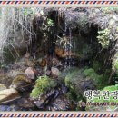 중리동 가구특화거리 이미지