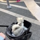 가든파크 이미지