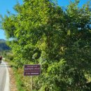 대안2리마을회관 이미지