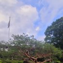 25년7월19일(토)청계산 계곡 초복맞이 힐링(풍산대장) 이미지