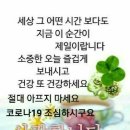 향기로운 삶 이미지