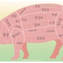 꿀꿀이 돈돈돈 이미지