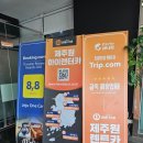 하이렌트카 | 제주 렌트카 내돈내산 추천 아반떼 CN7 제주 원렌트카 후기