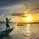 인싸피시 이미지