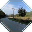 양평군토지매매,양동면토지매매,양평군농지매매,양동면농지매매,양평군부동산,양동면부동산 2584㎡(약 782평) 4.7억 매매/써브공인중개사 이미지