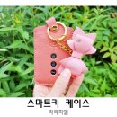더뉴그랜저 스마트키케이스 라라피엘