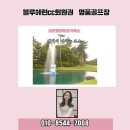 글로벌회원권거래소 이미지