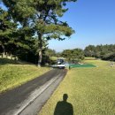 함평엘리체CC 이미지