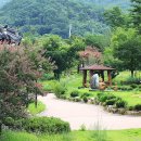 신지생태공원 이미지