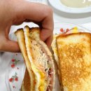 토스테리아 이미지