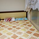 (주)이지텍 | 스팀보이 온수매트 T1200A 사용후기