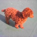 교방동016 이미지