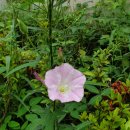 파크랜드빌딩 앞 이미지