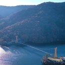 옐로우시티 이미지