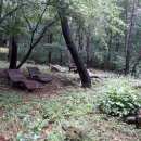 충북알프스자연휴양림 이미지