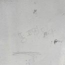 파나몬스신평점 이미지