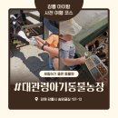 기특이네 농장 | 강릉 사천 여행 코스 아이랑 대관령아기동물농장 체험 후기