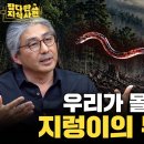 지렁이가 유해 생물?🪱 현재 미국 숲 파괴하고 있다는 한국 지렁이 상황 이미지