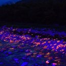 설악산파크 이미지