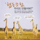 협동조합 만들고 이미지