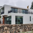 렉스타운 이미지