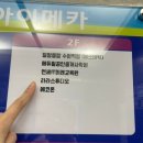 라라 태권도 | 가성비 고퀄 프로필 사진 잘 찍는 라라스튜디오 수원점 내돈내산 후기