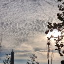 한강화장실 이촌1 화장실 이미지