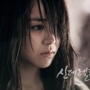 도 장 Daum카페