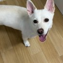 놀러와 뽑기방 | 헥헥 바쁘고 더어요