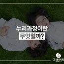 공룡자연유치원 이미지
