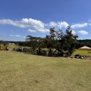 궁평2리 마을회관 이미지