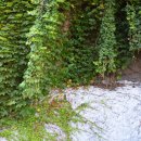 동광세탁 이미지