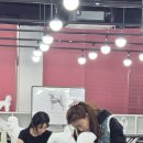 (단기)반려동물미용사(자격증) 이미지