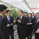 서열농장 이미지