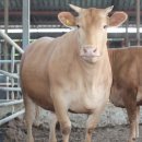 태영농장 이미지