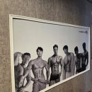 포워드휘트니스 이미지