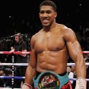 메이저복싱 이미지