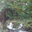 박영애농장 이미지