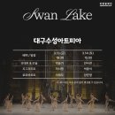 제이리트리오의 음악이 흐르는 발레 | 취발러가 본 국립발레단 '백조의 호수' 발레 공연 후기 | 대구 수성아트피아