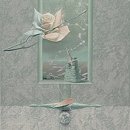 순환의바람으로부터 Daum카페