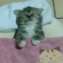 싸이버짱PC방 | ☠️🪽!.?₩2월!