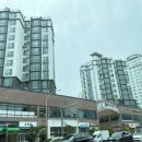 펠리시티1차 이미지