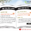 5월 종합소득세 신고 절세전략| 이미지