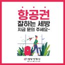 💚세방여행사💚대한항공 토론토-인천 항공편 편명(Flight Number) 변경💚905 597 5880💚카톡 세방여행사 이미지