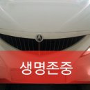 쌍용자동차구리서비스프라자 이미지