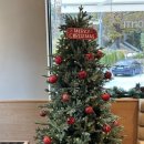 11월카페 이미지