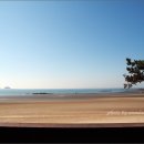 거북이펜션 이미지