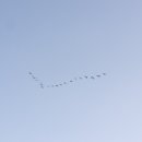 오이도선사유적공원 이미지