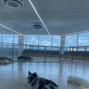 레스트윗 이미지